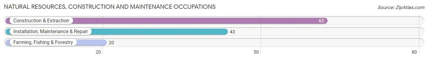 Natural Resources, Construction and Maintenance Occupations in Mancelona