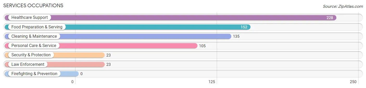 Services Occupations in Manistee