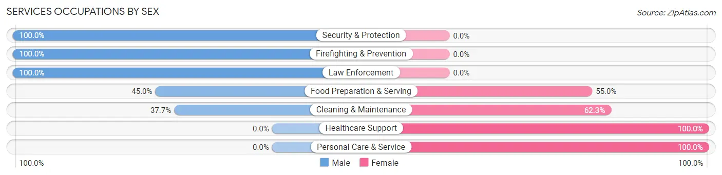 Services Occupations by Sex in Manistique