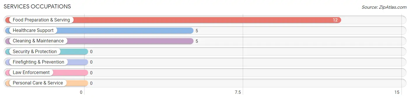 Services Occupations in Maple City