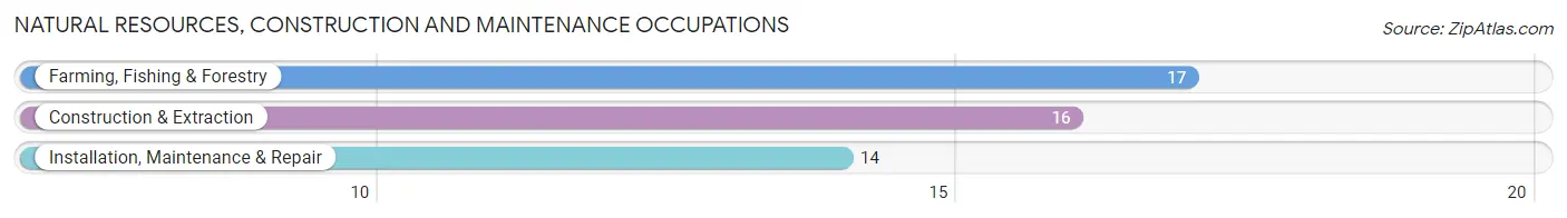 Natural Resources, Construction and Maintenance Occupations in Maple Rapids