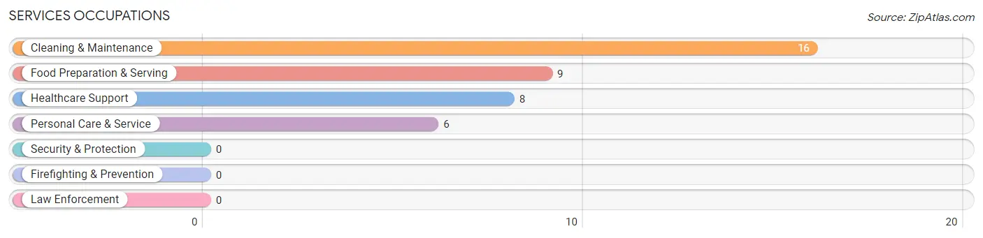 Services Occupations in Maple Rapids