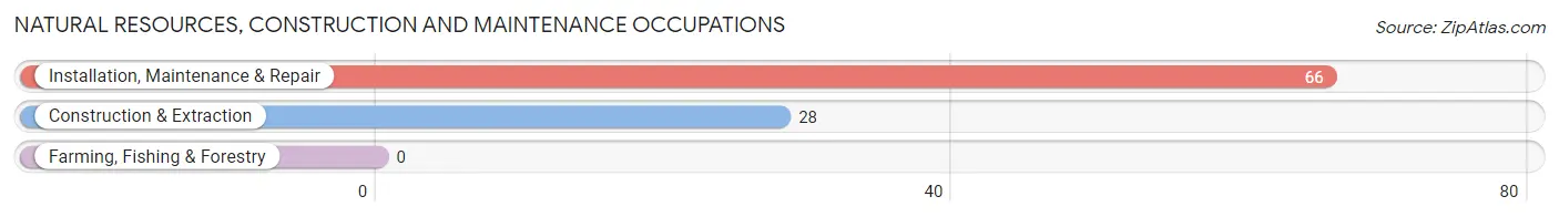 Natural Resources, Construction and Maintenance Occupations in Marcellus