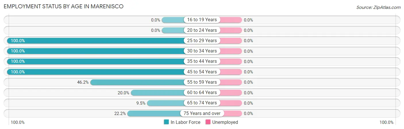 Employment Status by Age in Marenisco