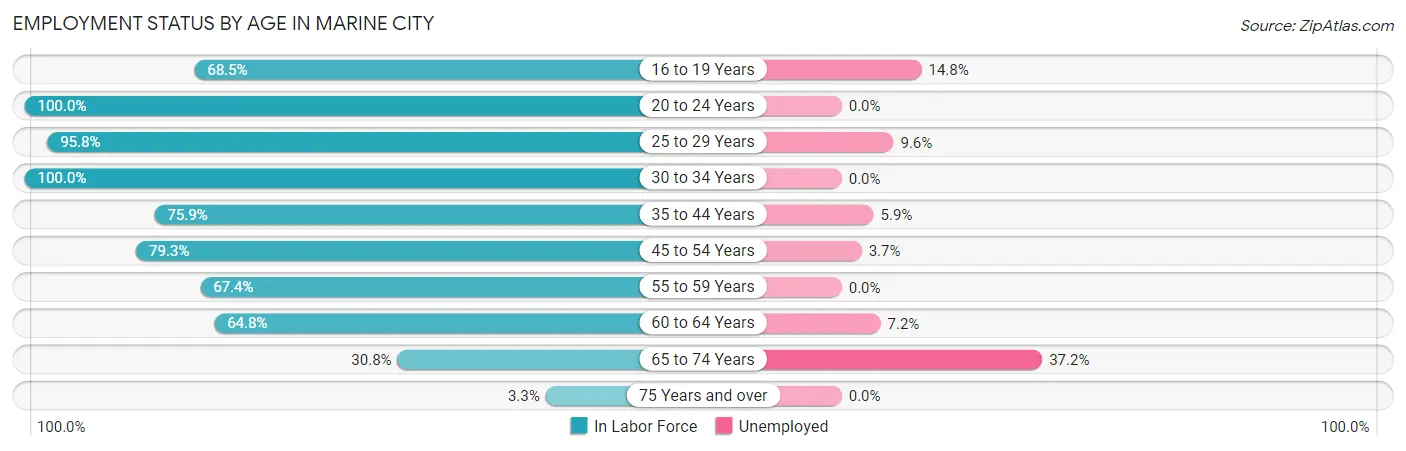 Employment Status by Age in Marine City