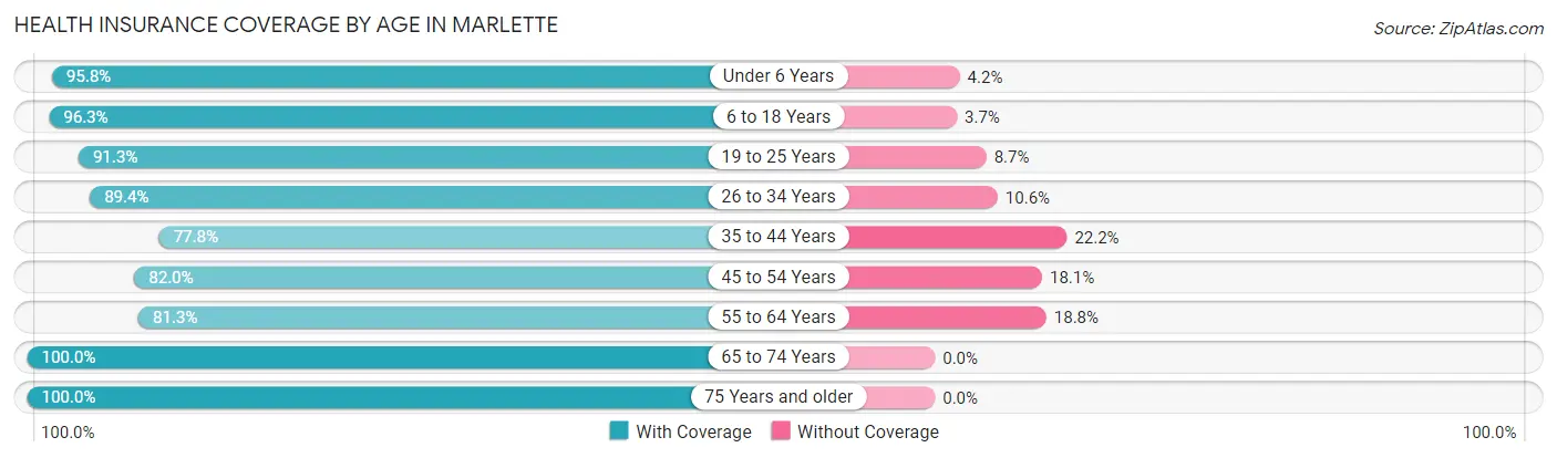 Health Insurance Coverage by Age in Marlette