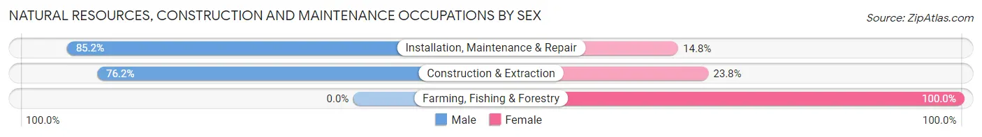 Natural Resources, Construction and Maintenance Occupations by Sex in Martin