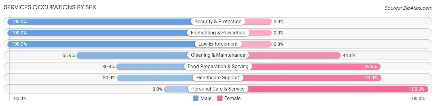 Services Occupations by Sex in Mattawan