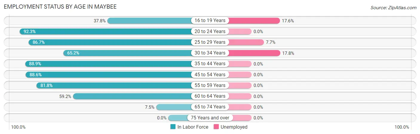 Employment Status by Age in Maybee