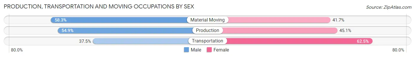 Production, Transportation and Moving Occupations by Sex in Maybee