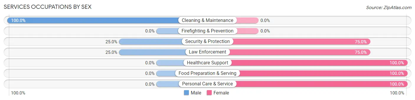 Services Occupations by Sex in Maybee