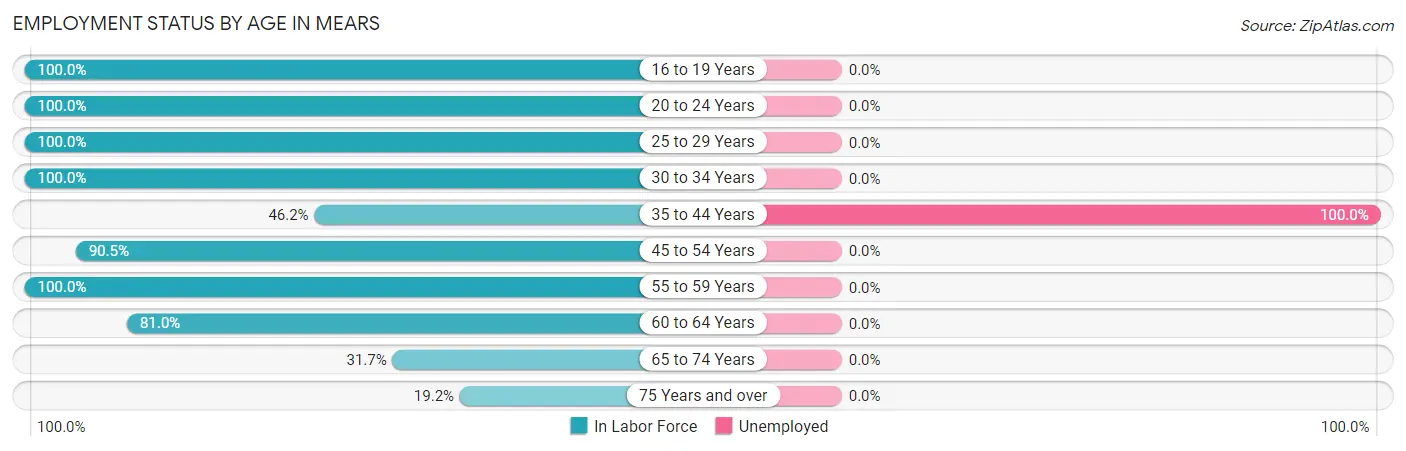 Employment Status by Age in Mears