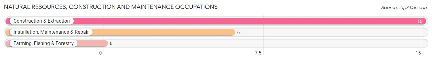 Natural Resources, Construction and Maintenance Occupations in Mears