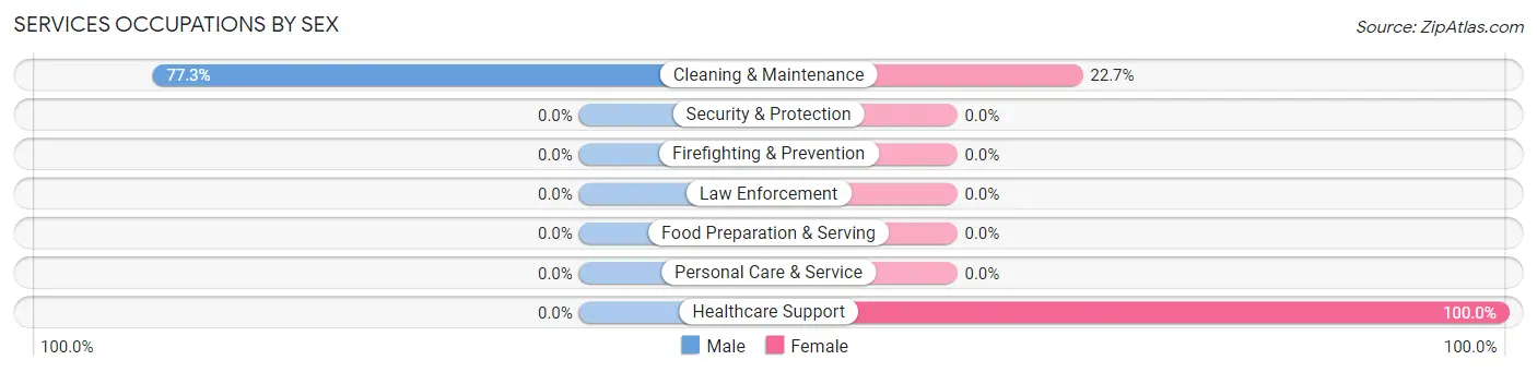 Services Occupations by Sex in Mears