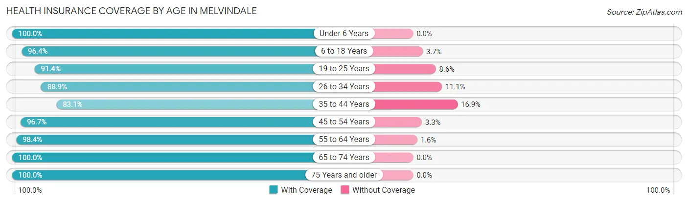Health Insurance Coverage by Age in Melvindale