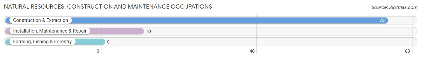 Natural Resources, Construction and Maintenance Occupations in Memphis