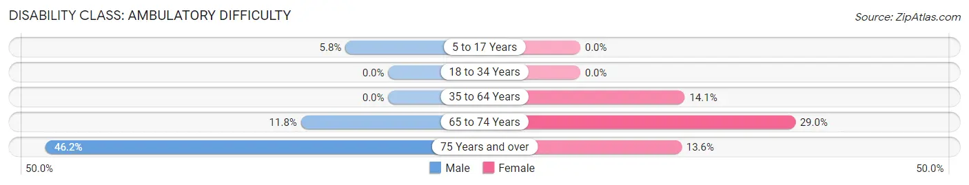 Disability in Mendon: <span>Ambulatory Difficulty</span>