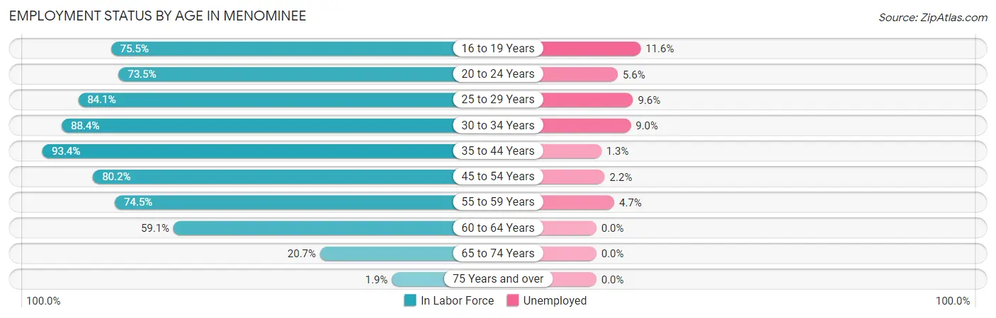 Employment Status by Age in Menominee