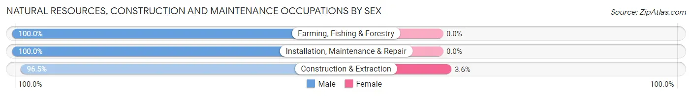 Natural Resources, Construction and Maintenance Occupations by Sex in Menominee