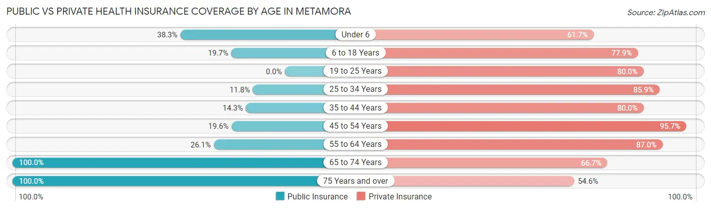 Public vs Private Health Insurance Coverage by Age in Metamora