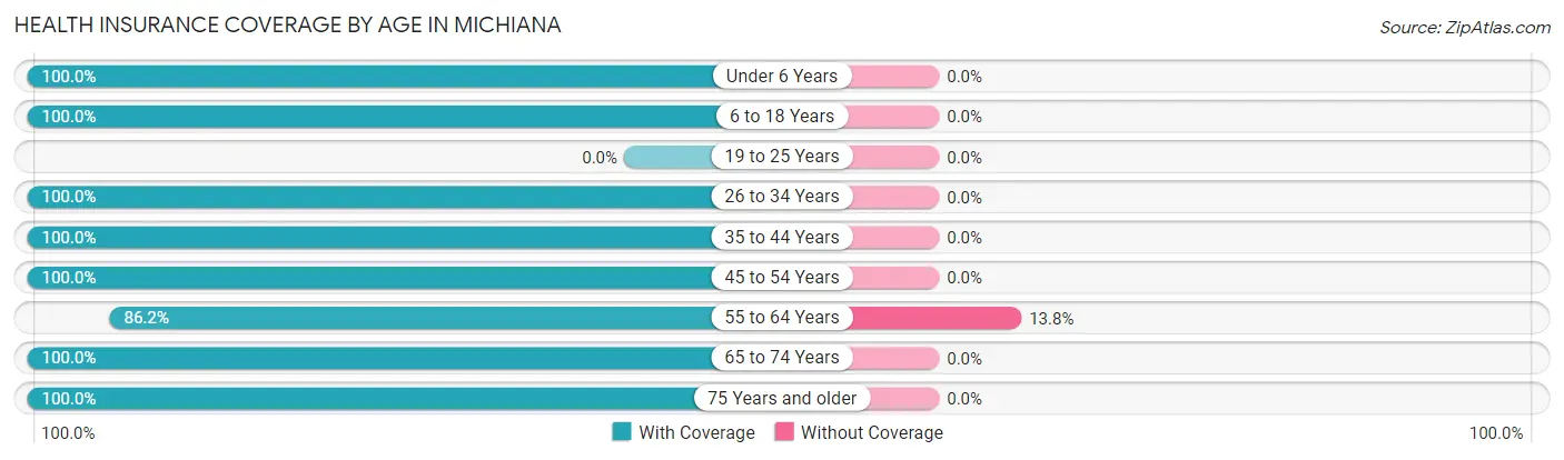 Health Insurance Coverage by Age in Michiana