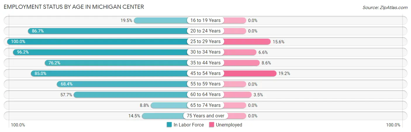 Employment Status by Age in Michigan Center