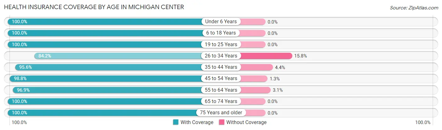Health Insurance Coverage by Age in Michigan Center
