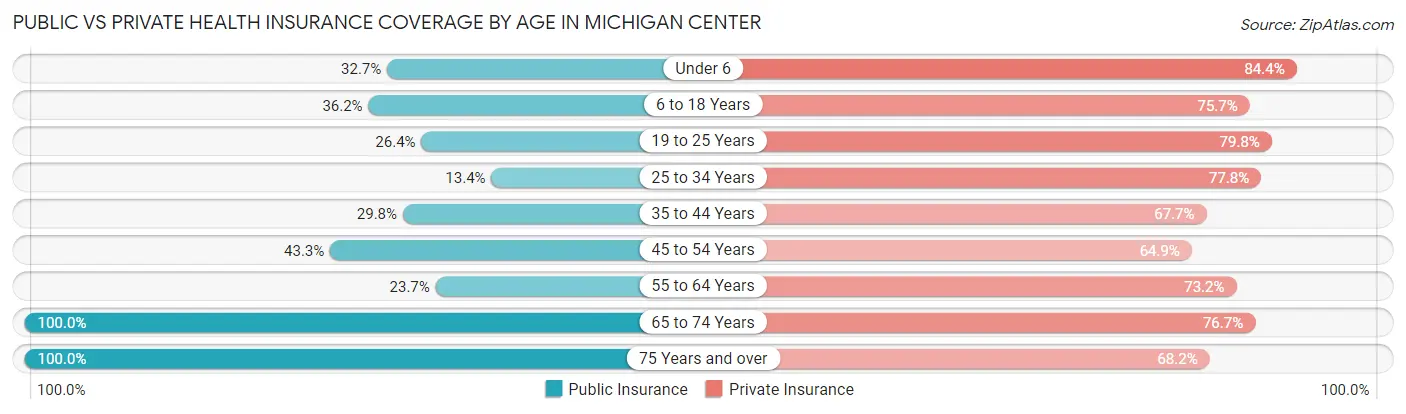 Public vs Private Health Insurance Coverage by Age in Michigan Center