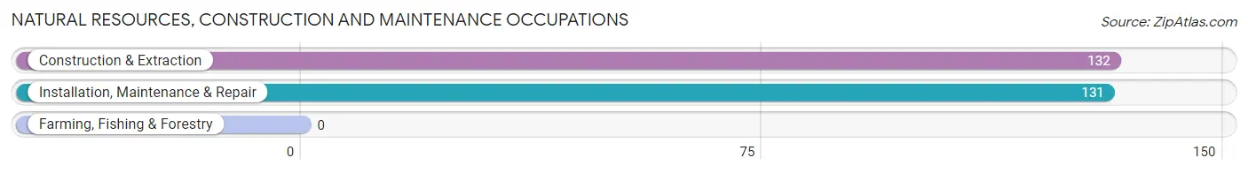 Natural Resources, Construction and Maintenance Occupations in Middleville