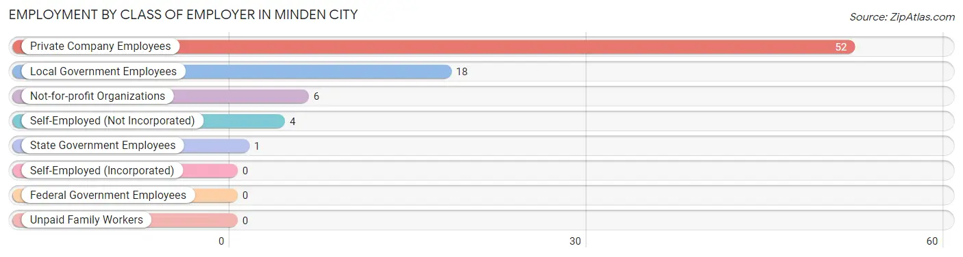 Employment by Class of Employer in Minden City