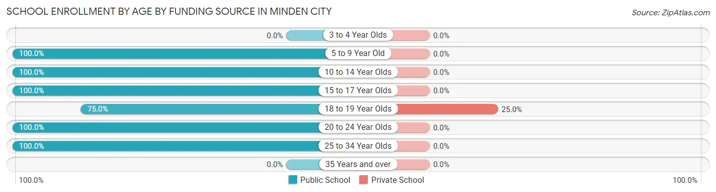 School Enrollment by Age by Funding Source in Minden City