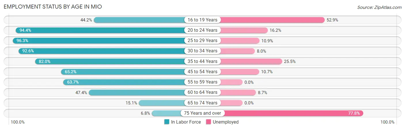 Employment Status by Age in Mio