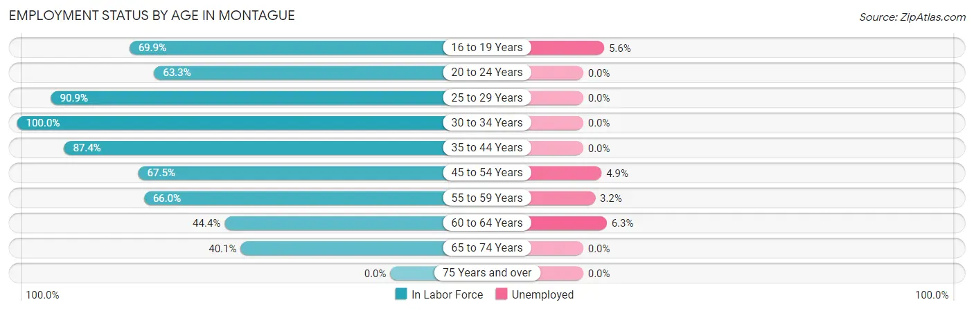 Employment Status by Age in Montague