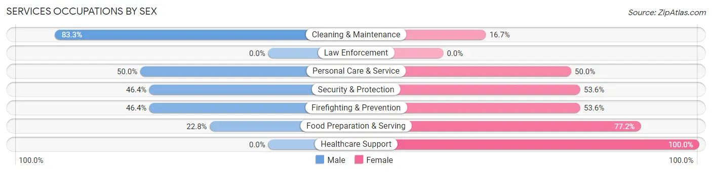 Services Occupations by Sex in Morenci
