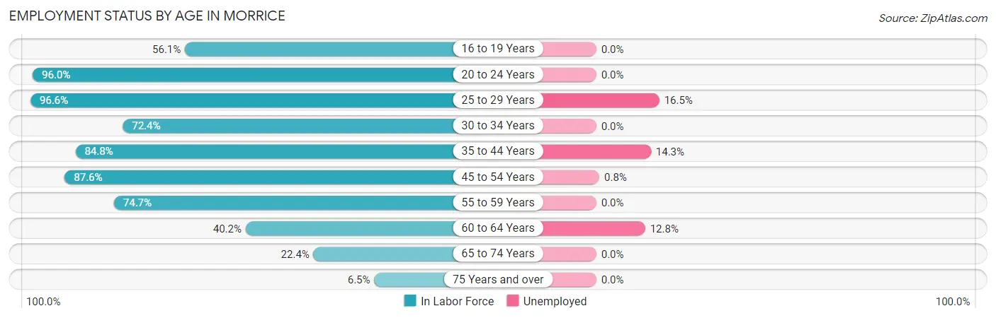 Employment Status by Age in Morrice