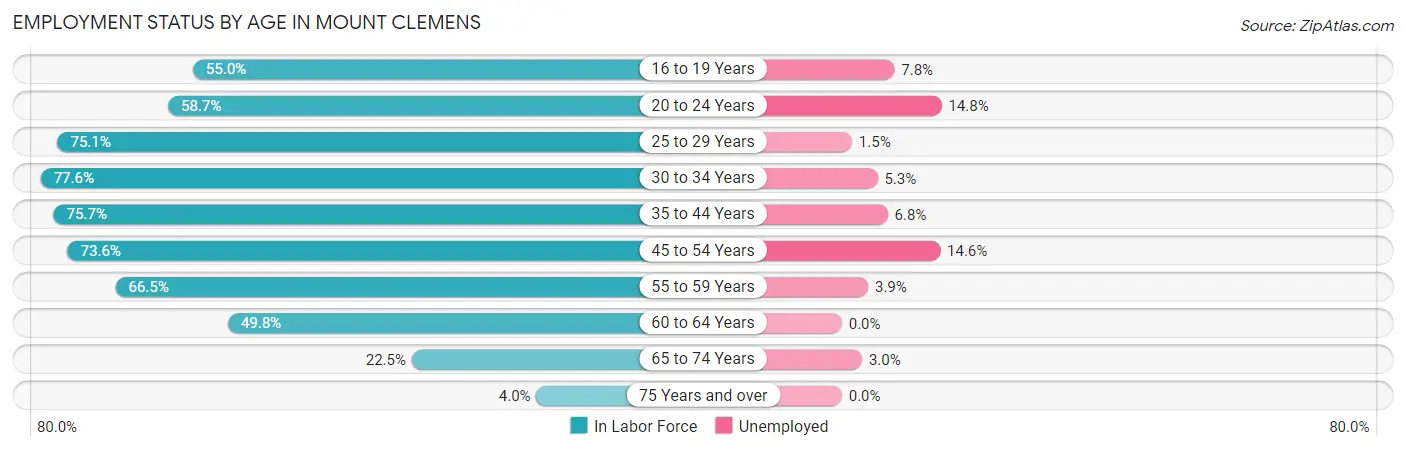 Employment Status by Age in Mount Clemens