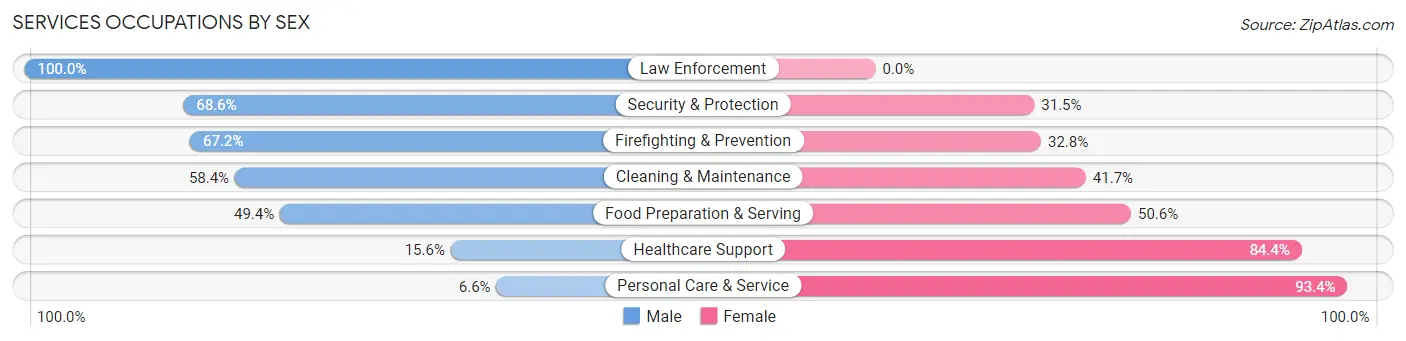 Services Occupations by Sex in Mount Clemens