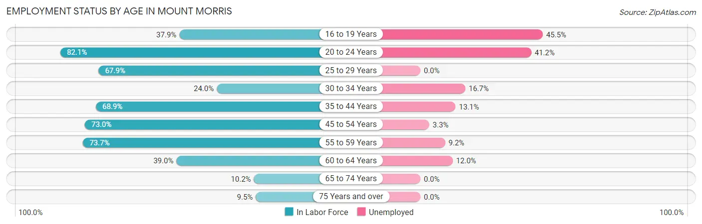 Employment Status by Age in Mount Morris
