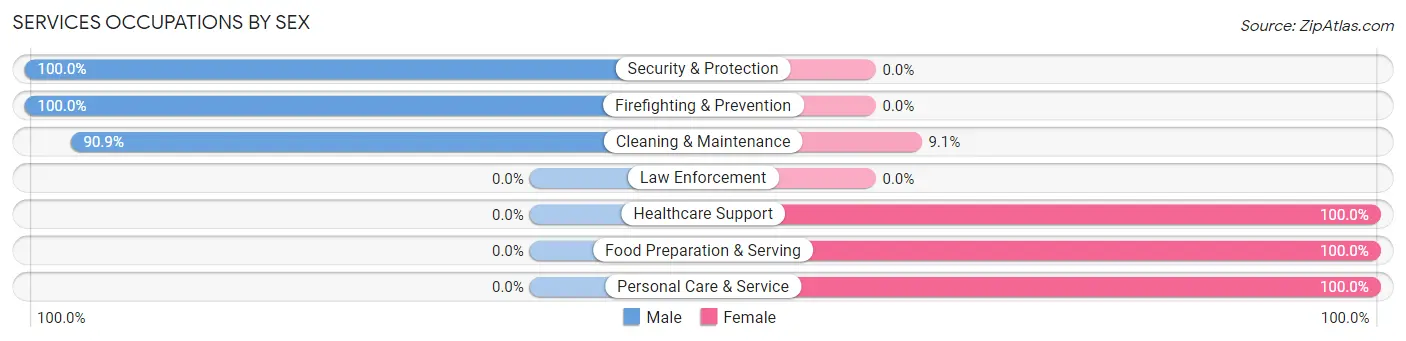 Services Occupations by Sex in Mount Morris
