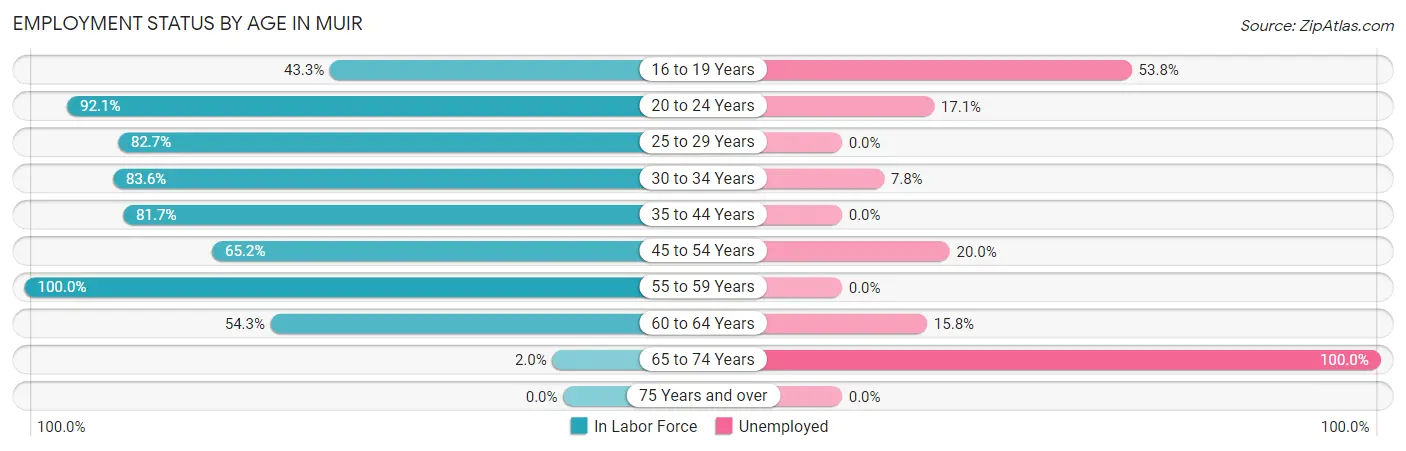 Employment Status by Age in Muir