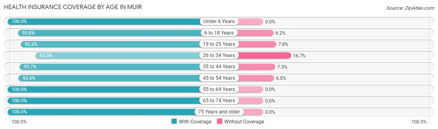 Health Insurance Coverage by Age in Muir