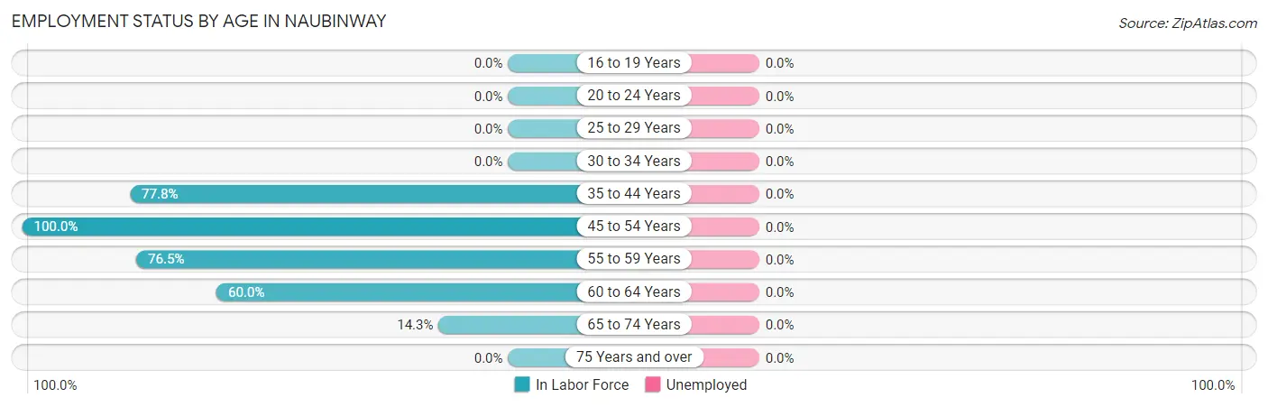 Employment Status by Age in Naubinway