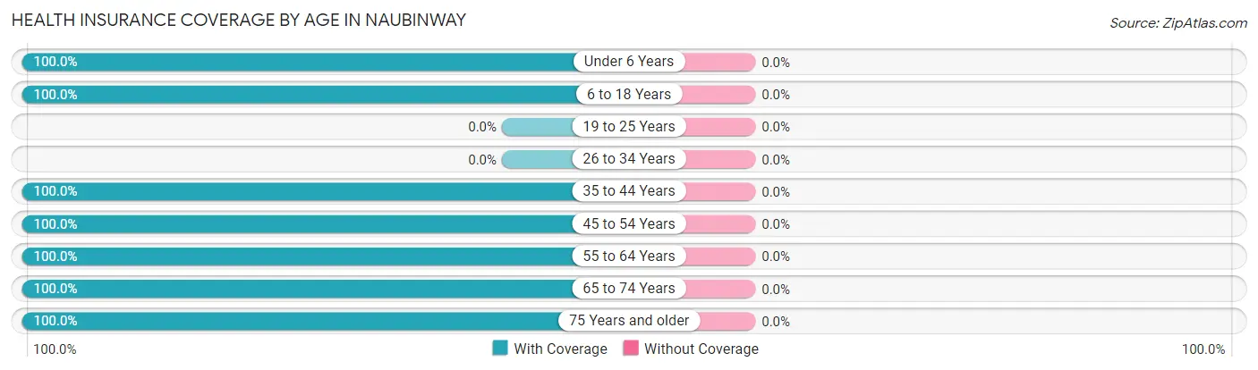 Health Insurance Coverage by Age in Naubinway
