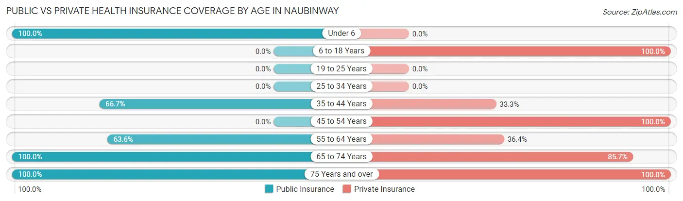 Public vs Private Health Insurance Coverage by Age in Naubinway
