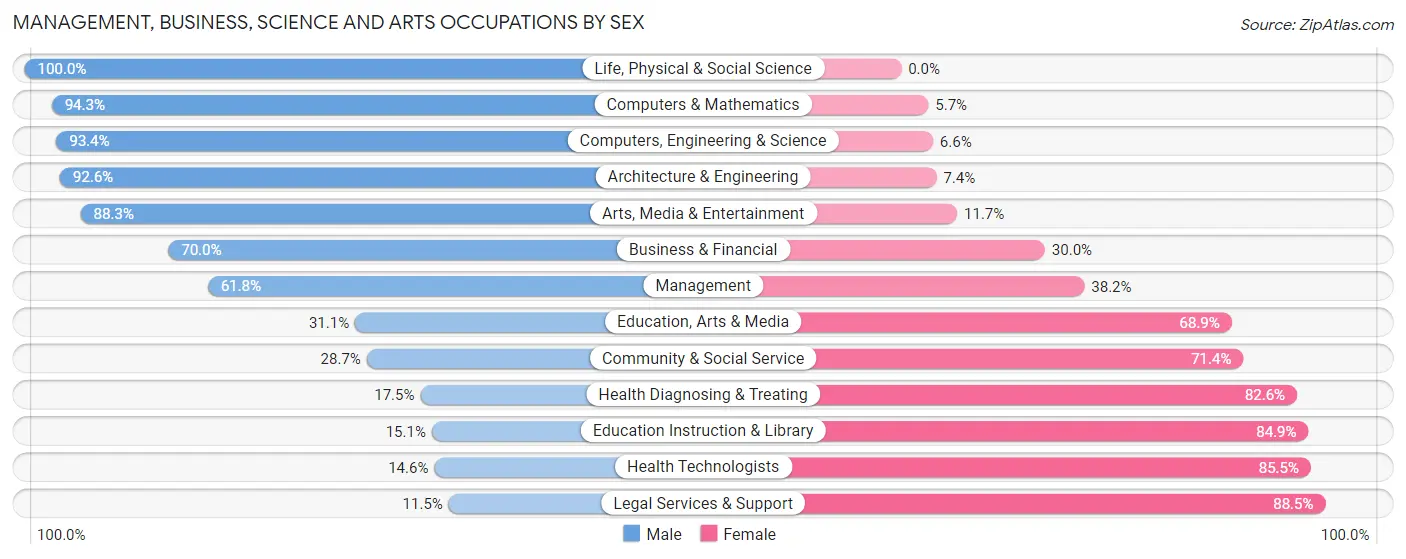 Management, Business, Science and Arts Occupations by Sex in New Baltimore