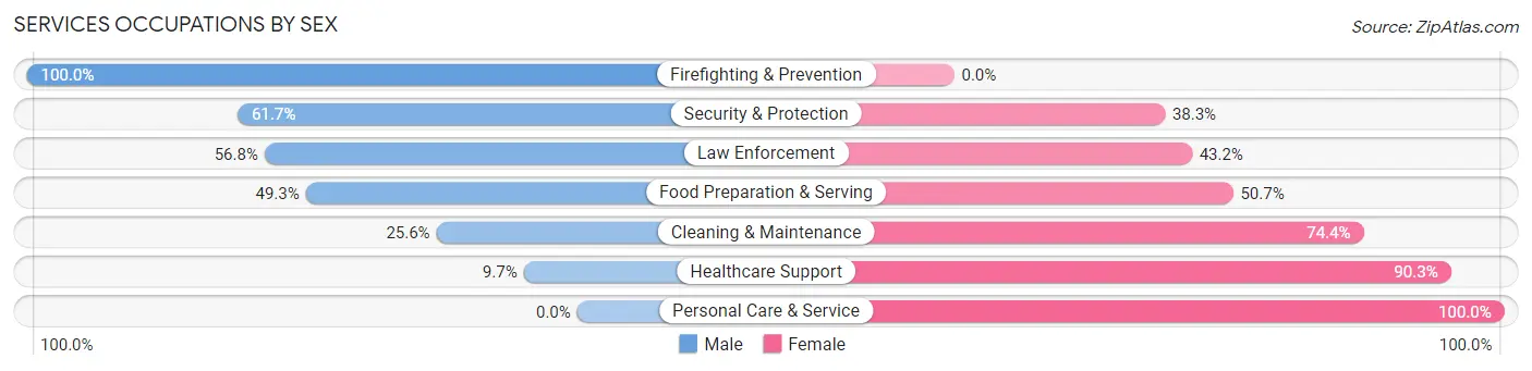 Services Occupations by Sex in New Baltimore