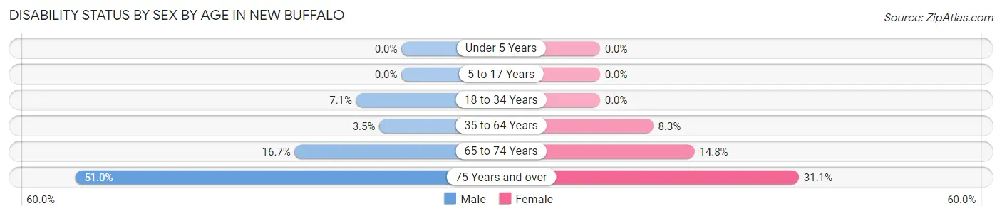 Disability Status by Sex by Age in New Buffalo