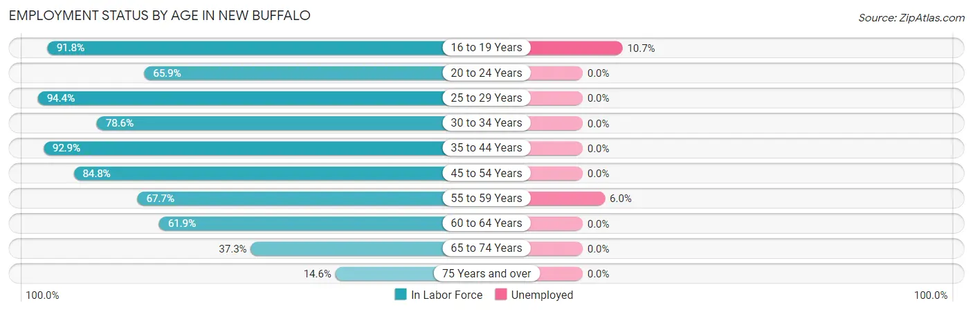 Employment Status by Age in New Buffalo