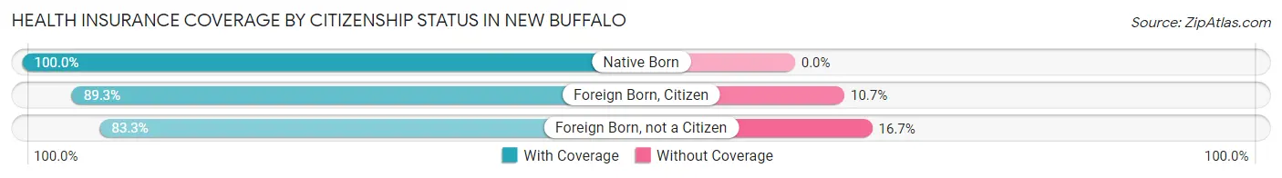 Health Insurance Coverage by Citizenship Status in New Buffalo