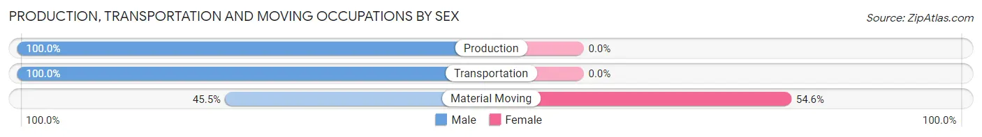 Production, Transportation and Moving Occupations by Sex in New Buffalo